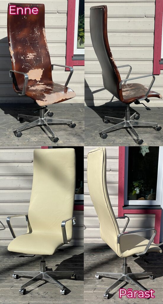 Ökonahk asendatud naturaalnahaga.